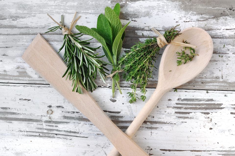 Plantas aromáticas ¿qué son y para qué sirven?